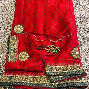 Indian beautiful sari